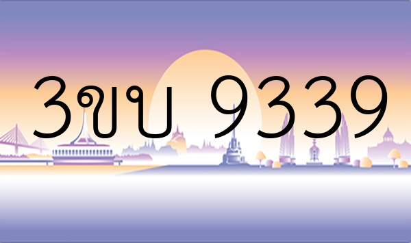 3ขบ 9339